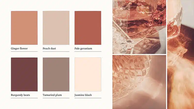 Farbklang Farbpalette 2